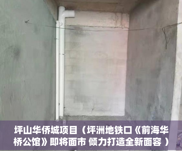 坪山华侨城项目（坪洲地铁口《前海华桥公馆》即将面市 倾力打造全新面容 ）小产权房怎么过户手续，