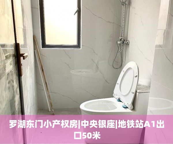 罗湖东门小产权房|中央银座|地铁站A1出口50米