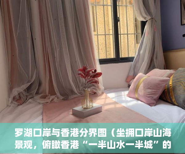 罗湖口岸与香港分界图（坐拥口岸山海景观，俯瞰香港“一半山水一半城”的罗湖 ）买了小产权房子该怎么办，