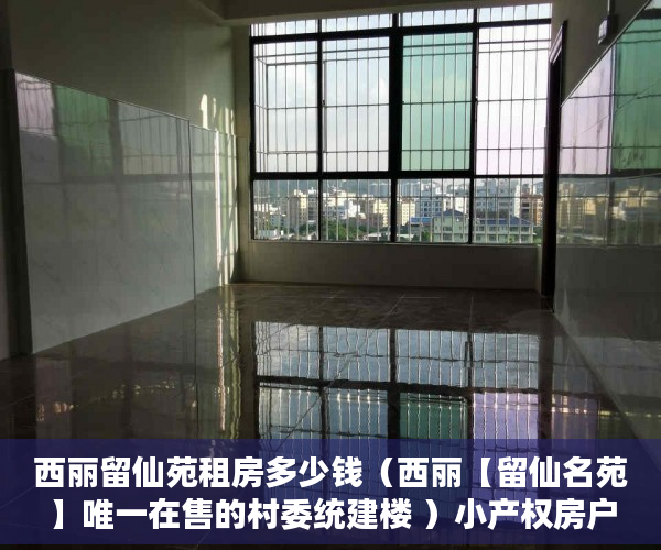 西丽留仙苑租房多少钱（西丽【留仙名苑】唯一在售的村委统建楼 ）小产权房户型怎么样，