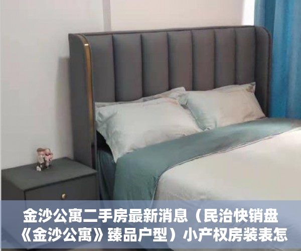 金沙公寓二手房最新消息（民治快销盘《金沙公寓》臻品户型）小产权房装表怎么办，