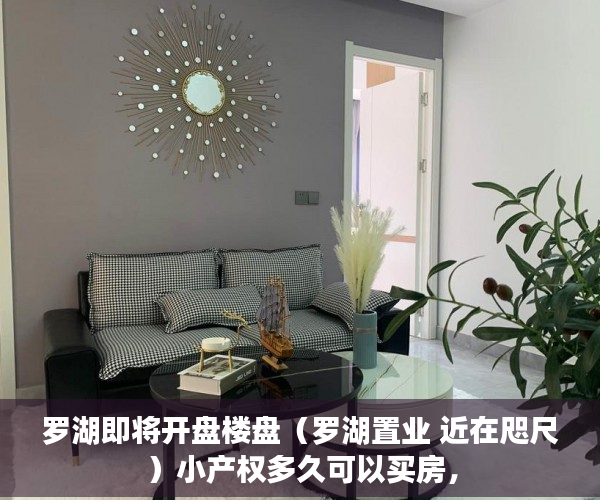 罗湖即将开盘楼盘（罗湖置业 近在咫尺）小产权多久可以买房，