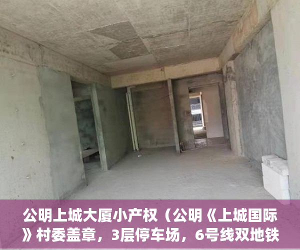 公明上城大厦小产权（公明《上城国际》村委盖章，3层停车场，6号线双地铁口 ）房子买到小产权怎么办，