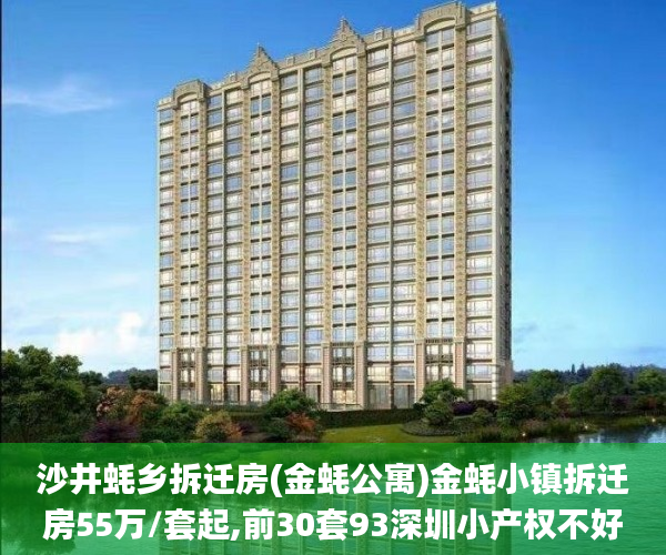 沙井蚝乡拆迁房(金蚝公寓)金蚝小镇拆迁房55万/套起,前30套93深圳小产权不好折深圳小产权_拆迁