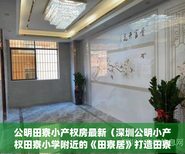 公明田寮小产权房最新（深圳公明小产权田寮小学附近的《田寮居》打造田寮村最 ）深圳小产权房学位锁定多久解锁，