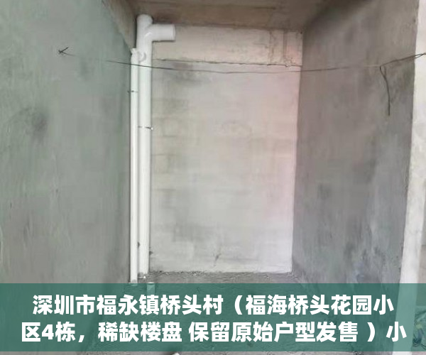 深圳市福永镇桥头村（福海桥头花园小区4栋，稀缺楼盘 保留原始户型发售 ）小产权房转正要多久，