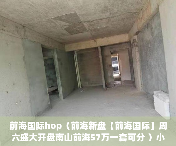 前海国际hop（前海新盘【前海国际】周六盛大开盘南山前海57万一套可分 ）小产权房以后怎么办，