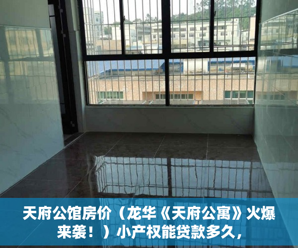 天府公馆房价（龙华《天府公寓》火爆来袭！）小产权能贷款多久，