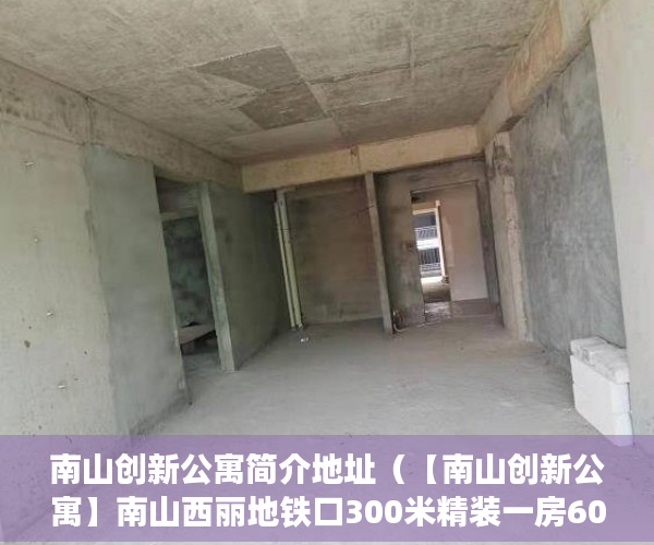南山创新公寓简介地址（【南山创新公寓】南山西丽地铁口300米精装一房60万起 ）小产权房多久签合同，