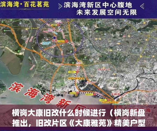 横岗大康旧改什么时候进行（横岗新盘推出，旧改片区《大康雅苑》精美户型，豪装交房 ）物业大产权下来小产权要多久，