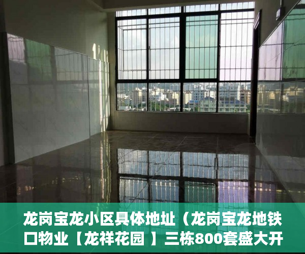 龙岗宝龙小区具体地址（龙岗宝龙地铁口物业【龙祥花园 】三栋800套盛大开盘！ ）二手房7楼小产权怎么处理，
