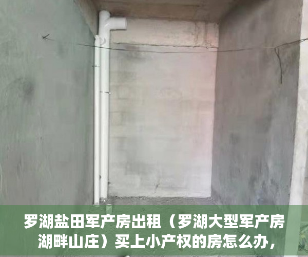 罗湖盐田军产房出租（罗湖大型军产房 湖畔山庄）买上小产权的房怎么办，