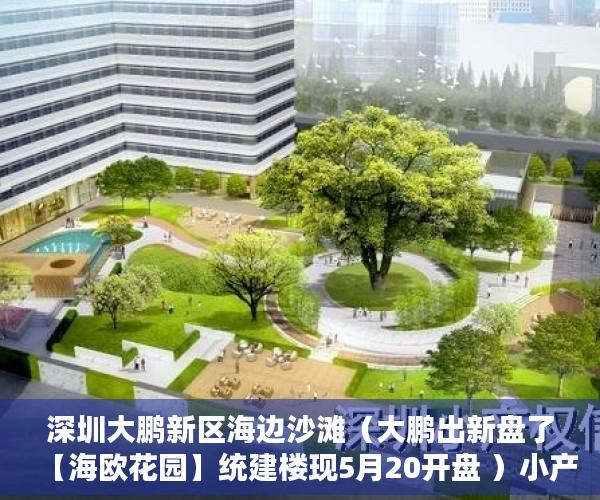 深圳大鹏新区海边沙滩（大鹏出新盘了【海欧花园】统建楼现5月20开盘 ）小产权房70年后怎么办，