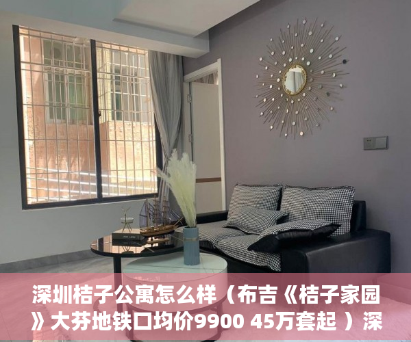 深圳桔子公寓怎么样（布吉《桔子家园》大芬地铁口均价9900 45万套起 ）深圳公司小产权房多久可以卖，