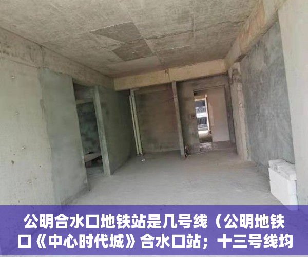 公明合水口地铁站是几号线（公明地铁口《中心时代城》合水口站；十三号线均在附近 ）多久能申请上小产权房，
