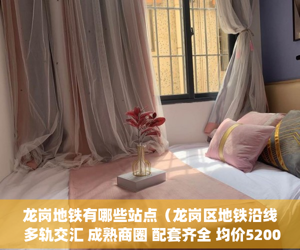 龙岗地铁有哪些站点（龙岗区地铁沿线 多轨交汇 成熟商圈 配套齐全 均价52000 ）小产权房上学怎么报名，
