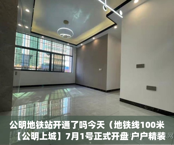 公明地铁站开通了吗今天（地铁线100米【公明上城】7月1号正式开盘 户户精装修 ）小产权三手房买卖合同怎么处理，
