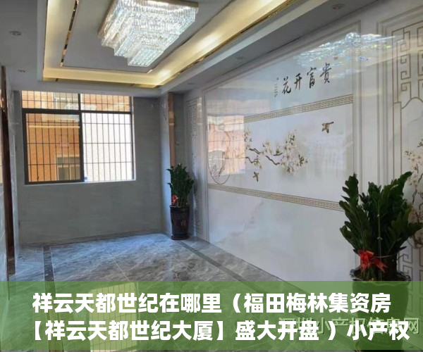 祥云天都世纪在哪里（福田梅林集资房【祥云天都世纪大厦】盛大开盘 ）小产权房闹剧还要演多久，