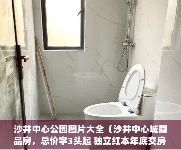 沙井中心公园图片大全（沙井中心城商品房，总价字3头起 独立红本年底交房 ）购买了小产权房户口怎么办，