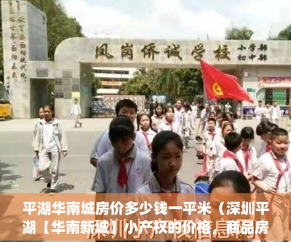 平湖华南城房价多少钱一平米（深圳平湖【华南新城】小产权的价格，商品房权利的性质！ ）中介买小产权房要做多久监狱，