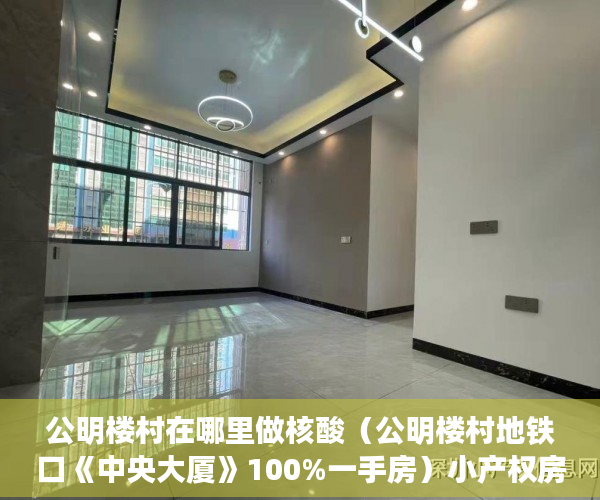 公明楼村在哪里做核酸（公明楼村地铁口《中央大厦》100%一手房）小产权房多久上市，