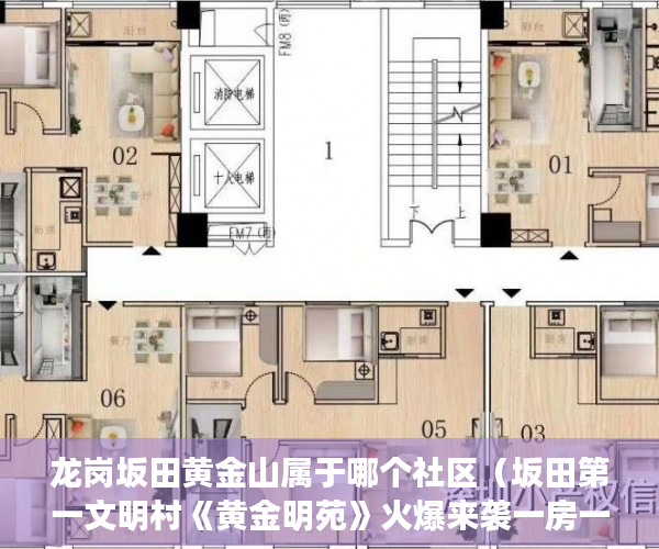 龙岗坂田黄金山属于哪个社区（坂田第一文明村《黄金明苑》火爆来袭一房一厅498万起 ）东莞企石的小产权房怎么办，