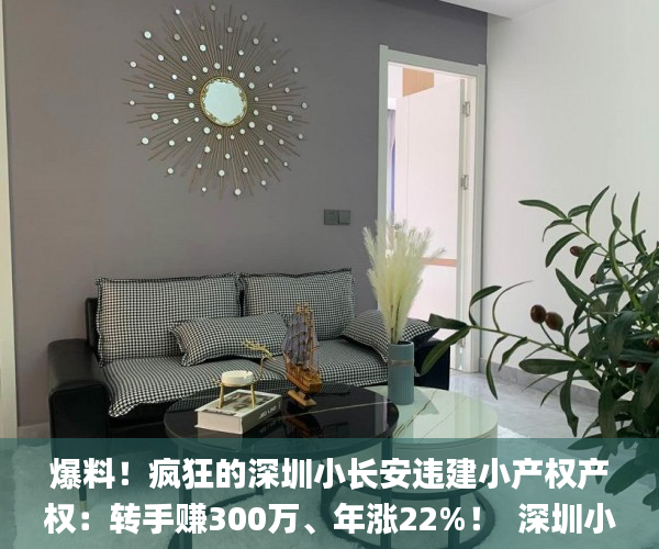 爆料！疯狂的深圳小长安违建小产权产权：转手赚300万、年涨22%！  深圳小产权_转手