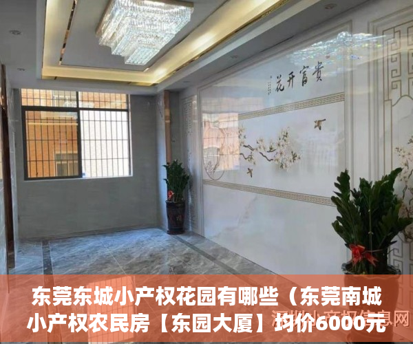 东莞东城小产权花园有哪些（东莞南城小产权农民房【东园大厦】均价6000元一平 ）小产权选房后多久交房款，