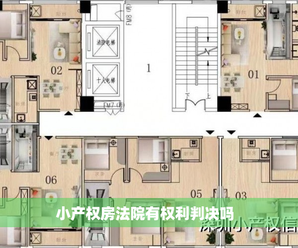 小产权房法院有权利判决吗  