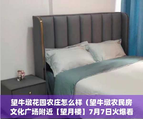 望牛墩花园农庄怎么样（望牛墩农民房文化广场附近【望月楼】7月7日火爆看房 ）小产权房打官司需要多久，