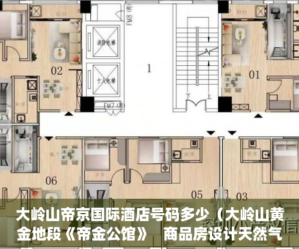 大岭山帝京国际酒店号码多少（大岭山黄金地段《帝金公馆》   商品房设计天然气入户 ）广州小产权房网签后多久交房，