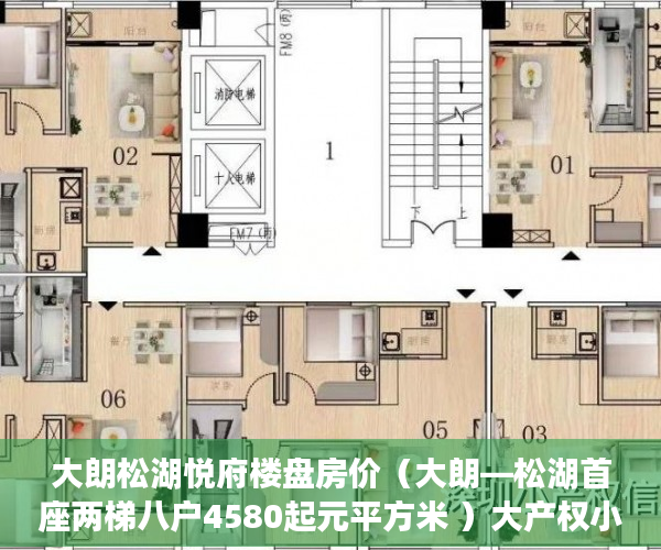 大朗松湖悦府楼盘房价（大朗—松湖首座两梯八户4580起元平方米 ）大产权小产权怎么看，