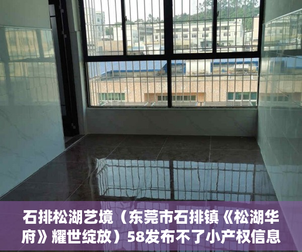 石排松湖艺境（东莞市石排镇《松湖华府》耀世绽放）58发布不了小产权信息怎么办，