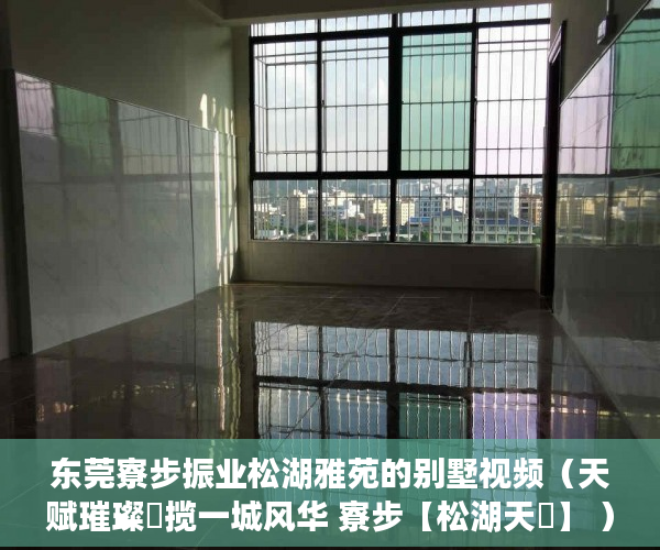 东莞寮步振业松湖雅苑的别墅视频（天赋璀璨玥揽一城风华 寮步【松湖天玥】 ）2年前买的小产权房有纠纷怎么办，