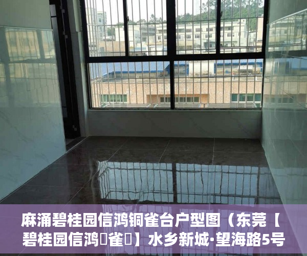 麻涌碧桂园信鸿铜雀台户型图（东莞【 碧桂园信鸿銅雀臺】水乡新城·望海路5号 ）深圳小产权房的产权多久，