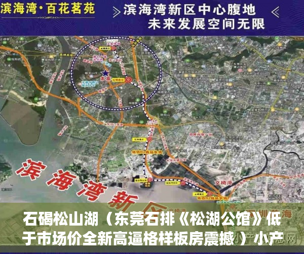 石碣松山湖（东莞石排《松湖公馆》低于市场价全新高逼格样板房震撼 ）小产权地上建筑物怎么个补偿法，