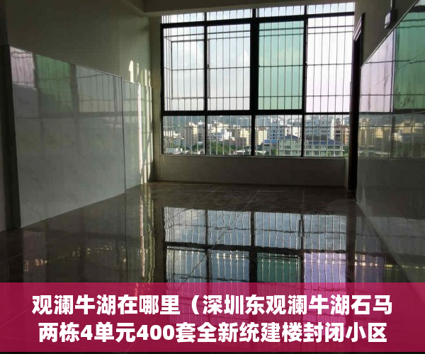 观澜牛湖在哪里（深圳东观澜牛湖石马 两栋4单元400套全新统建楼封闭小区 ）小产权房屋公证后管多久，