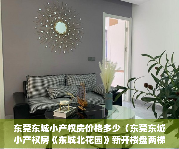 东莞东城小产权房价格多少（东莞东城小产权房《东城北花园》新开楼盘两梯六户13层 ）小产权车位可以用多久，