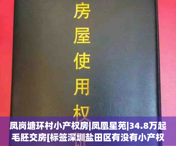 凤岗塘环村小产权房|凤凰星苑|34.8万起毛胚交房[标签深圳盐田区有没有小产权房:标题seo加词]