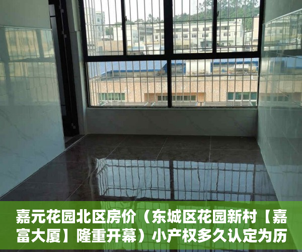 嘉元花园北区房价（东城区花园新村【嘉富大厦】隆重开幕）小产权多久认定为历史遗留，