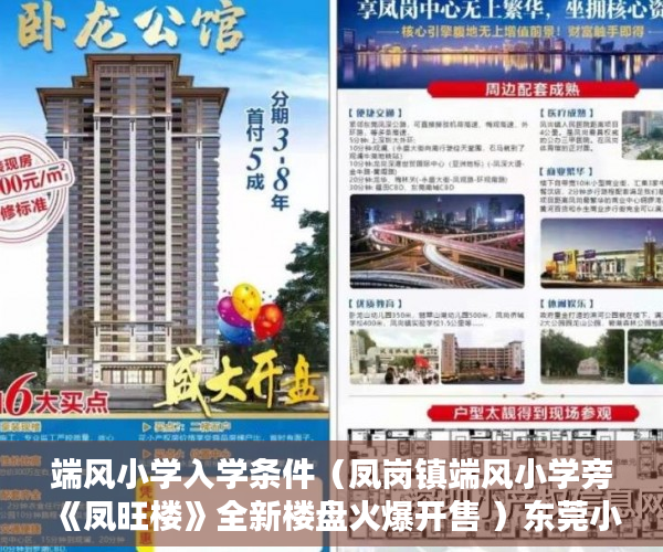 端风小学入学条件（凤岗镇端风小学旁《凤旺楼》全新楼盘火爆开售 ）东莞小产权房子能住多久，