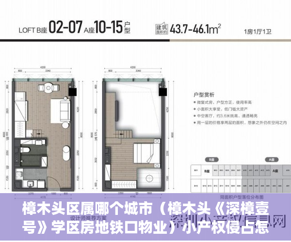 樟木头区属哪个城市（樟木头《深樟壹号》学区房地铁口物业）小产权侵占怎么办，