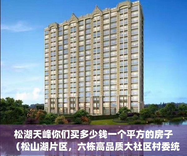 松湖天峰你们买多少钱一个平方的房子（松山湖片区，六栋高品质大社区村委统建楼《天峰松湖》 ）小产权证办理要多久，