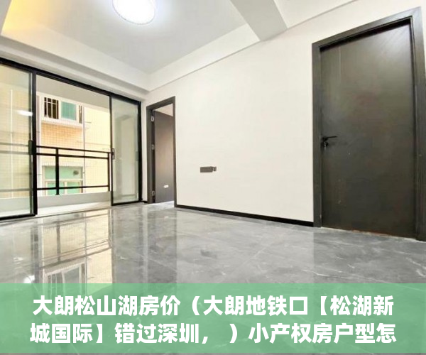 大朗松山湖房价（大朗地铁口【松湖新城国际】错过深圳， ）小产权房户型怎么样，