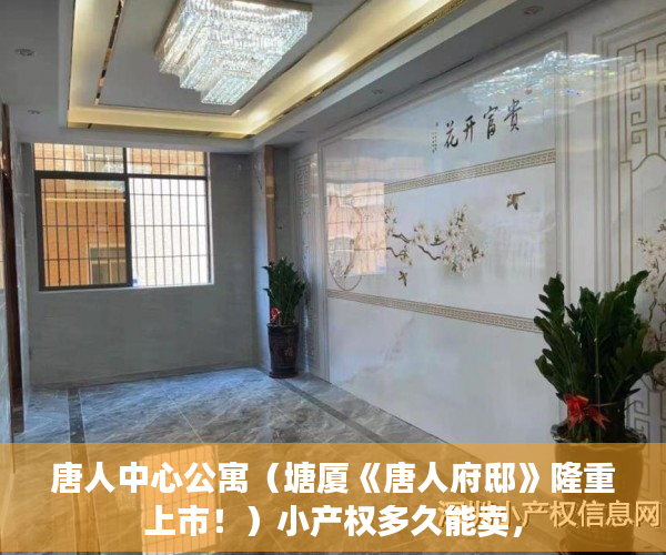 唐人中心公寓（塘厦《唐人府邸》隆重上市！）小产权多久能卖，