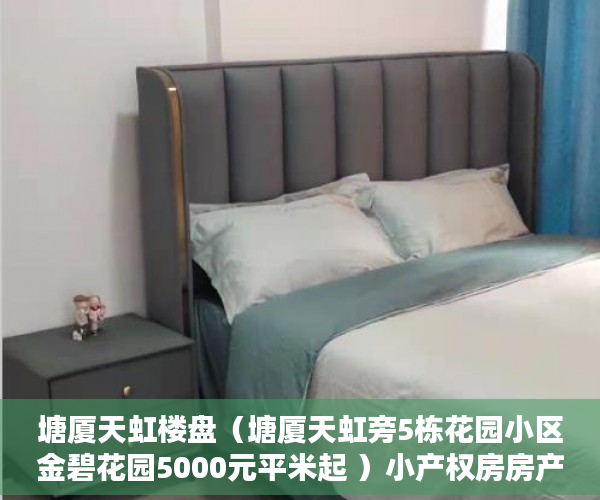 塘厦天虹楼盘（塘厦天虹旁5栋花园小区金碧花园5000元平米起 ）小产权房房产证多久能办，