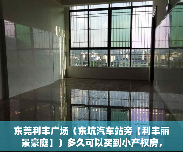 东莞利丰广场（东坑汽车站旁【利丰丽景豪庭】）多久可以买到小产权房，