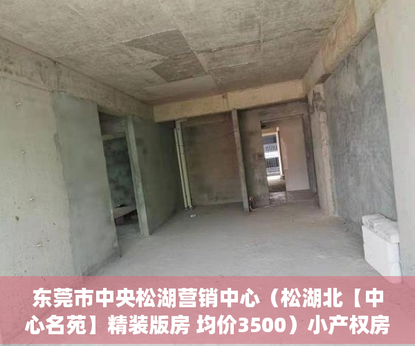 东莞市中央松湖营销中心（松湖北【中心名苑】精装版房 均价3500）小产权房多久能卖，