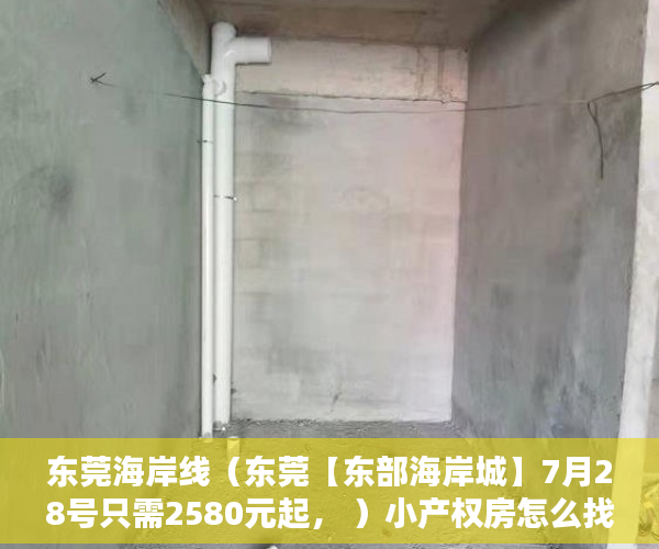 东莞海岸线（东莞【东部海岸城】7月28号只需2580元起， ）小产权房怎么找，