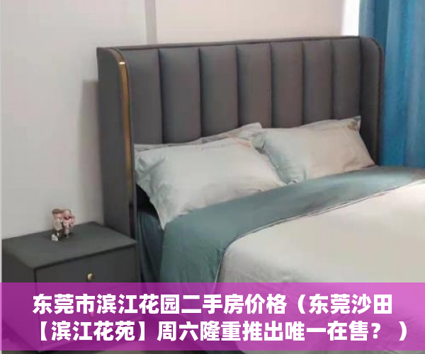 东莞市滨江花园二手房价格（东莞沙田【滨江花苑】周六隆重推出唯一在售？ ）小产权购买多久可以出售，